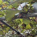 한림공원 | 아기랑 한림공원 후기｜유모차 가능해서 편했던 제주 관광지