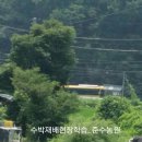 신광유치원 이미지