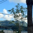 국군복지단(백골마트)