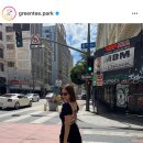 아이비 이미지