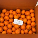 성훈농장 이미지