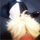 태양맨션 이미지