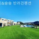 비비&숑숑 반려견펜션 이미지