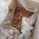 김천떡방앗간 이미지