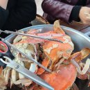 모항항편의점 이미지