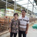 현우농장 이미지