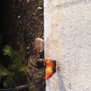 황보농장 이미지