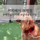커피베이부평점