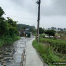 영자네민박 이미지