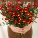 스노우폭스플라워잠실역점