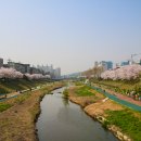 불광천6 이미지