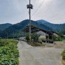 반곡보건진료소 이미지