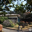 씨에스 호텔 앤 리조트 이미지