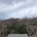 솔밭야영장
