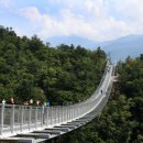 스테이서곡 이미지