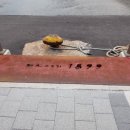 수제 맥주 특화사업장 이미지