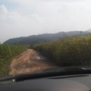 비내섬화장실 이미지