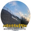 댕댕이 풀빌라 이미지