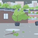 태풍센터근처 이미지