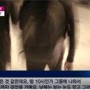 서당체육관 이미지