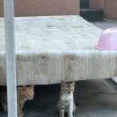 삼오민박 이미지