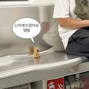 라메르블루 이미지