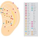 이혈 테라피 이미지