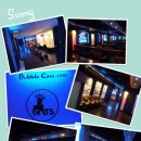 버블캣츠 이미지