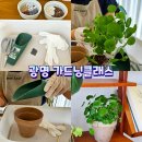 헤이리프 | 광명역 원데이클래스, 헤이리프 가드닝클래스 후기