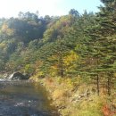 흙집펜션 이미지