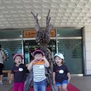 노루어린이공원 이미지