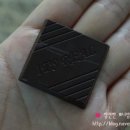 초코셀디