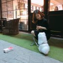 헬로마케팅 이미지