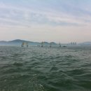 Team Shark 이미지