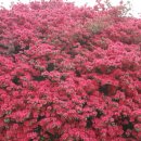 성어공원 이미지