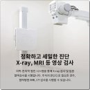 성신한방병원 네이버블로그