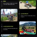 반딧불 목장 | 말레이시아 코타키나발루 자유여행 보루네오ATV 어드벤처 쿤다상 마을 데사 목장