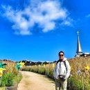 고려대학교 국제대학원 이미지