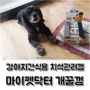 엔젤펫(엔젤유통) | 강아지 간식으로 주는 치석껌 마이펫닥터 개꿀껌