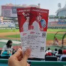 석주물회 | 어쩌다 보니 여름 방학 정리...⛱️