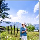 뉴페이스 이미지