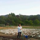 평남농장 이미지