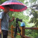 달천계곡 오토캠핑장 이미지