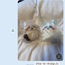 서인천농협 건지지점 앞 횡단보도 | 🇯🇵 또다시 나혼자 후쿠오카 | 교동이신발 찾으러 사사구리까지 갔다옴