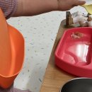 하이벨몽 이미지