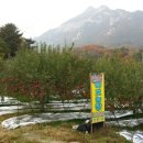 야호농장 이미지