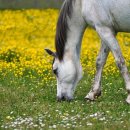 PGA 골프존 | 경기도 남양주시 밥스토랑 PGA골프존 진접읍점, 주차, 위치, 후기