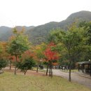 공중화장실(사무실 뒤) 이미지