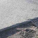 오피스디포 안성점 이미지