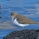 해맞이해안로 이미지